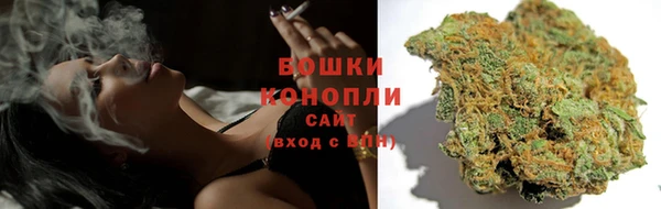 гидра Балабаново