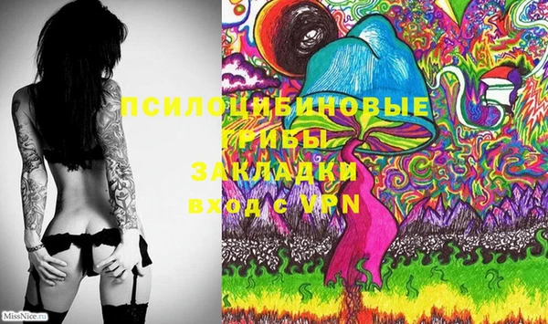 ешки Балахна