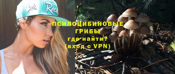 гидра Балабаново