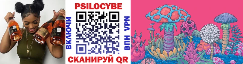 закладка Обоянь Псилоцибиновые грибы мухоморы