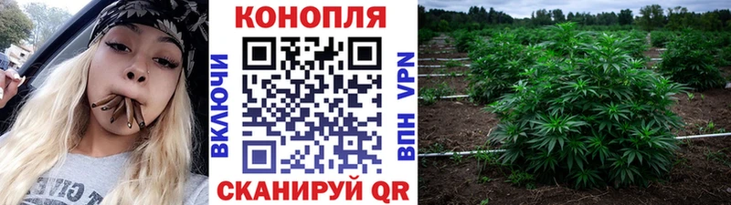 Канабис Ganja  Обоянь 